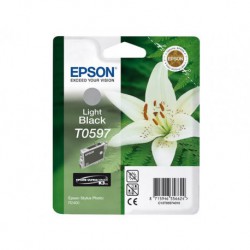 Inktpatroon Epson Grijs T0597