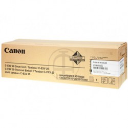 Tambour Canon CEXV-29 Couleur